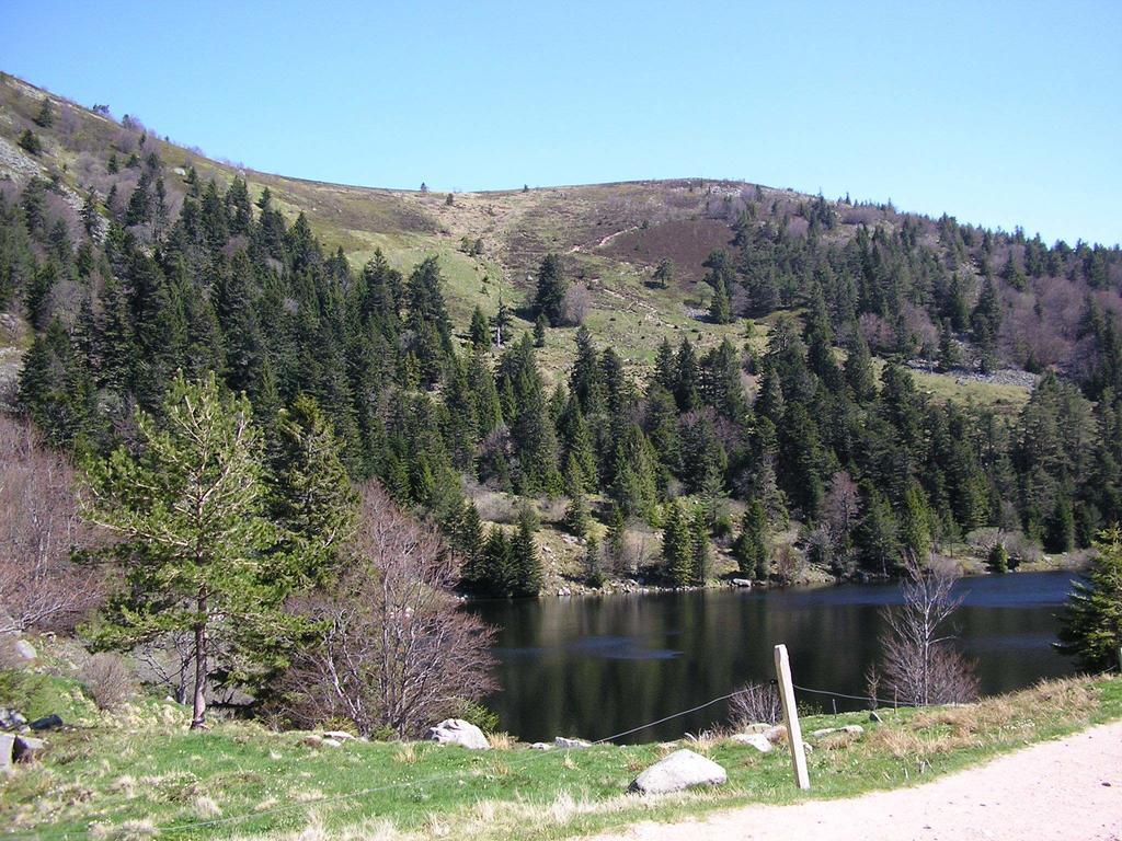 Les Bouquetins Villa Stosswihr Rom bilde