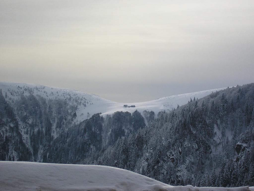 Les Bouquetins Villa Stosswihr Rom bilde
