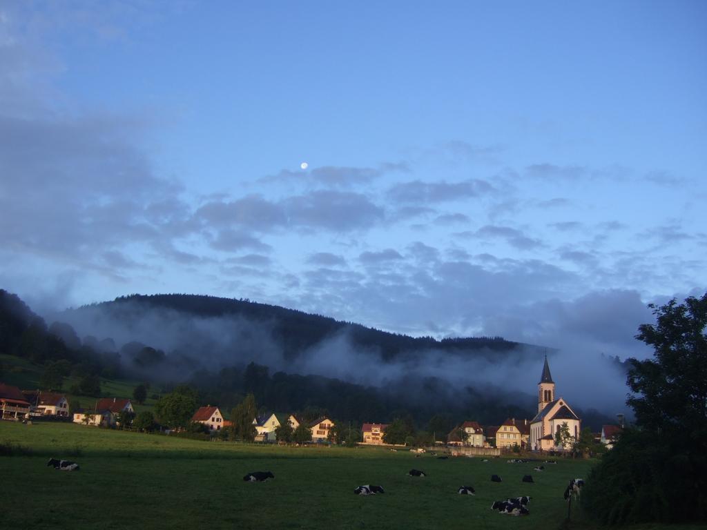 Les Bouquetins Villa Stosswihr Rom bilde